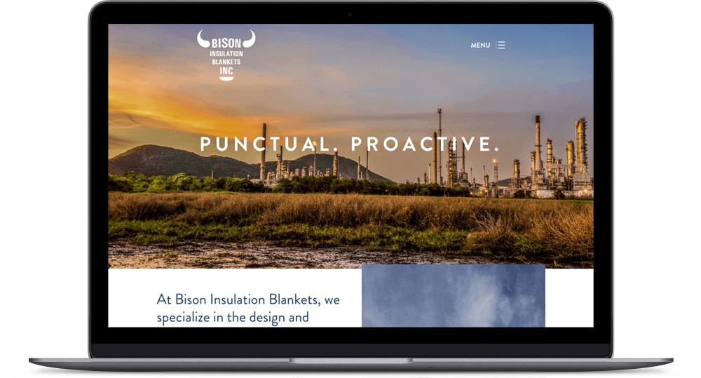 Bison Desktop Homepage
