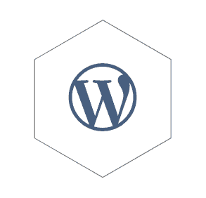 Wordpress CMS Hex